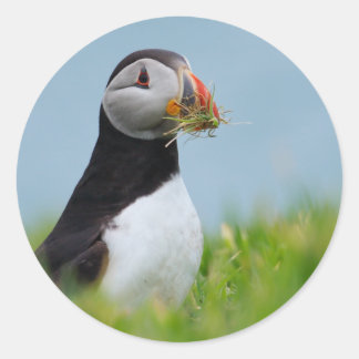 The Gatherer Puffin Classic Round Sticker