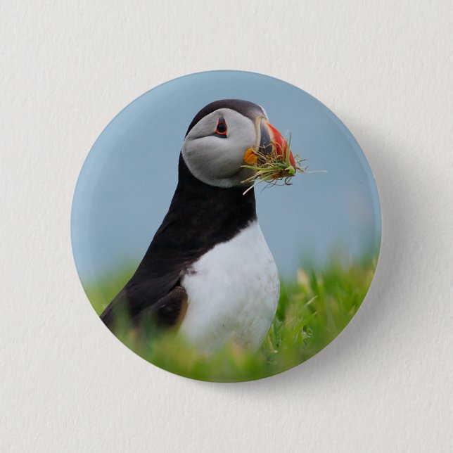 The Gatherer Puffin Pinback Button (Front)