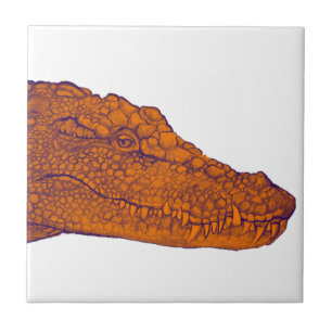 THE GATORS GLANCE CERAMIC TILE