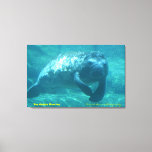 The Gentle Manatee Canvas Print at Zazzle