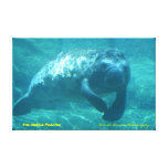 The Gentle Manatee Canvas Print at Zazzle