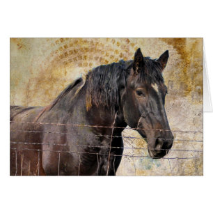 The Gentle One, A draft horse Cards