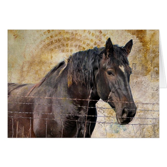 The Gentle One, A draft horse Cards (Front Horizontal)