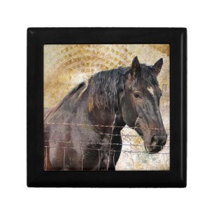 The Gentle One, A draft horse Jewelry Box