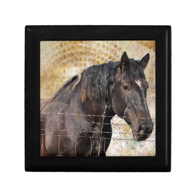 The Gentle One, A draft horse Jewelry Box (Front)