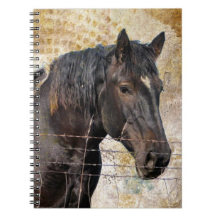 The Gentle One, A draft horse Notebook