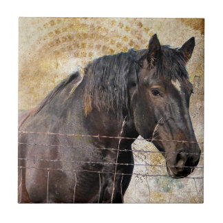 The Gentle One, A draft horse Tile