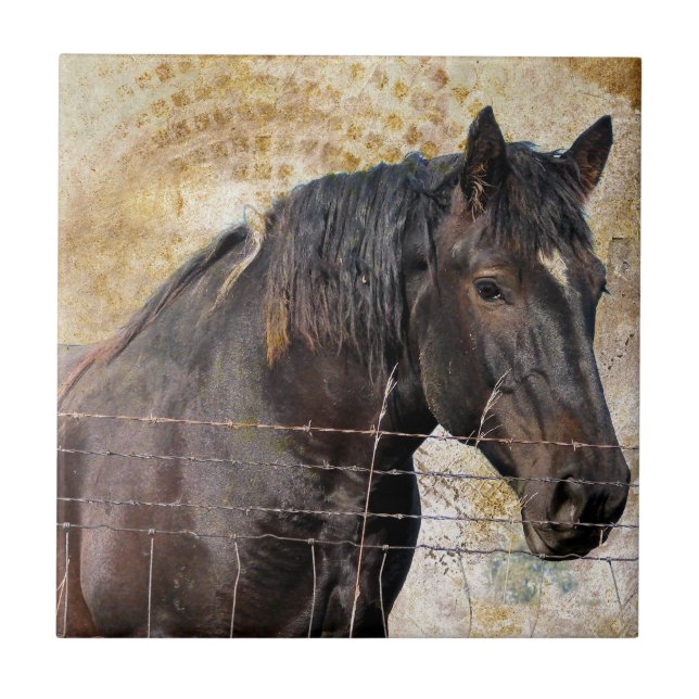 The Gentle One, A draft horse Tile (Front)