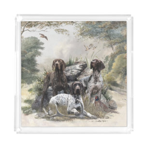 The German Shorthaired Pointer or Deutsch Kurzhaar Acrylic Tray
