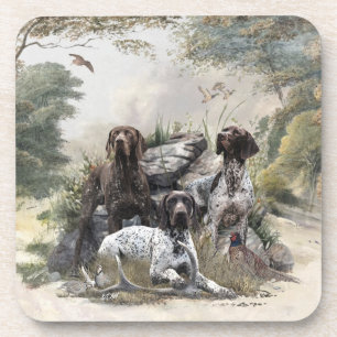 The German Shorthaired Pointer or Deutsch Kurzhaar Beverage Coaster