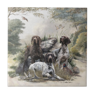 The German Shorthaired Pointer or Deutsch Kurzhaar Ceramic Tile