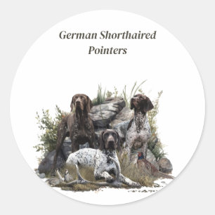 The German Shorthaired Pointer or Deutsch Kurzhaar Classic Round Sticker