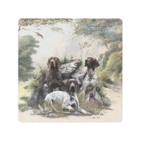 The German Shorthaired Pointer or Deutsch Kurzhaar