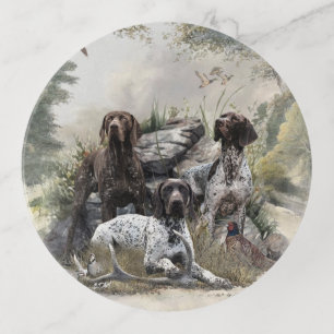 The German Shorthaired Pointer or Deutsch Kurzhaar Trinket Tray