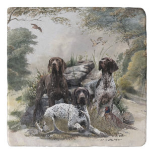The German Shorthaired Pointer or Deutsch Kurzhaar Trivet
