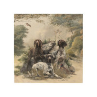 The German Shorthaired Pointer or Deutsch Kurzhaar