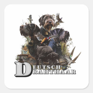 The German Wirehaired Pointer Square Sticker