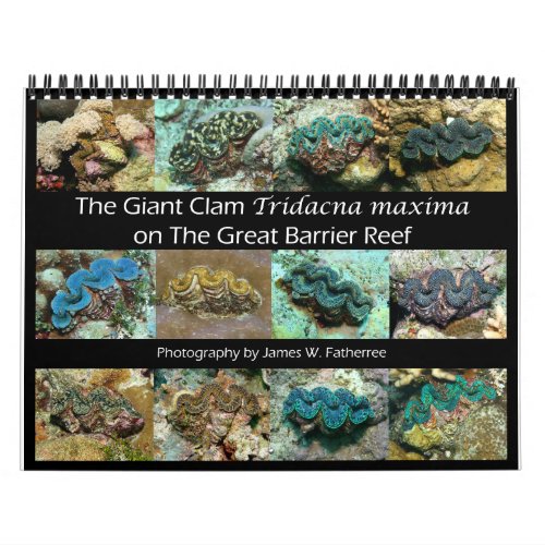 The Giant Clam Tridacna maxima by JW Fatherree Calendar