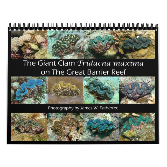 The Giant Clam Tridacna maxima by J.W. Fatherree. Calendar (Cover)