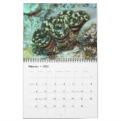 The Giant Clam Tridacna maxima by J.W. Fatherree. Calendar (Feb 2025)
