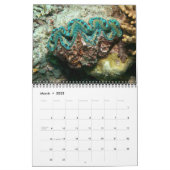 The Giant Clam Tridacna maxima by J.W. Fatherree. Calendar (Mar 2025)