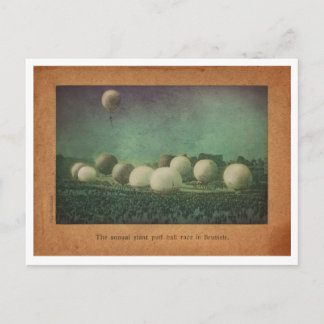 The Giant Puff Ball Race Postcard
