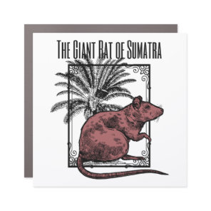 The Giant Rat of Sumatra Holmesian Sherlock Holmes Car Magnet