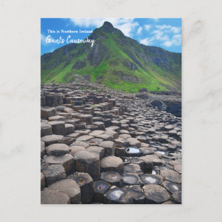 The Giant's Causeway -Northern Ireland Postcard