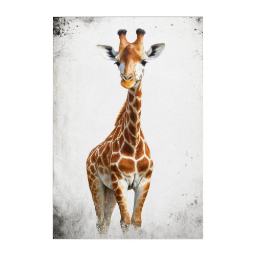 The giraffe  acrylic print