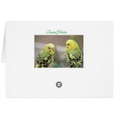 The girls (Back Horizontal)