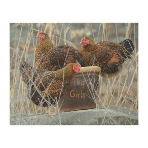 "The Girls" Chicken Wood Wall Art