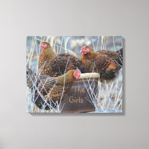 "The Girls" Chicken Wrapped Canvas Print