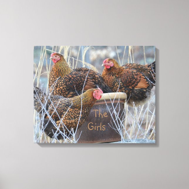 "The Girls" Chicken Wrapped Canvas Print (Front)