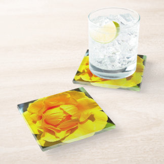 The Glorious Yellow Rose, Glass Coaster