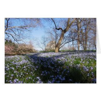 The Glory of Spring--Card Cards