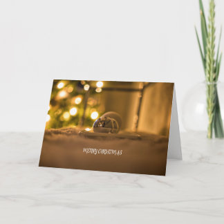 The Glow of Lights on Christmas Holiday Card