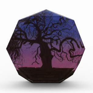 The Gnarly Tree Award
