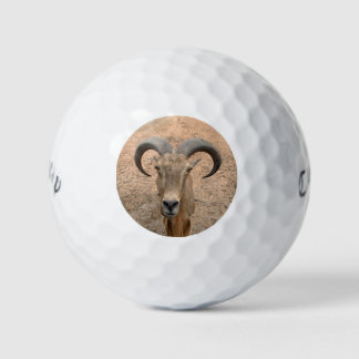 The Goat Golf Balls - Add Your Picture