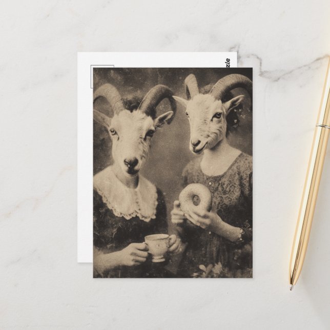 The Goat Women Tea and Bagel Retro Black and White Postcard (Front/Back In Situ)