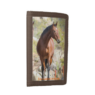 The Golden Carrot Wallet "Jedi"