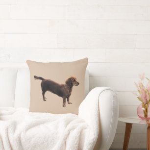 The  Golden Dachshund Throw Pillow