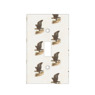 The Golden Eagle	(Aquila chrysaetos) NY Bird Image Light Switch Cover