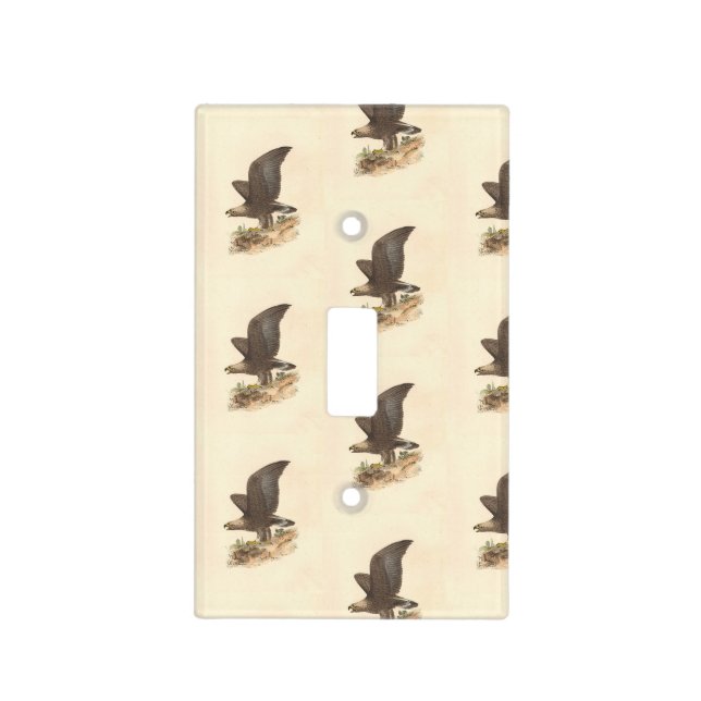 The Golden Eagle	(Aquila chrysaetos) NY Bird Image Light Switch Cover (Front)