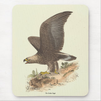 The Golden Eagle (Aquila chrysaetos) NY Bird Image Mouse Pad