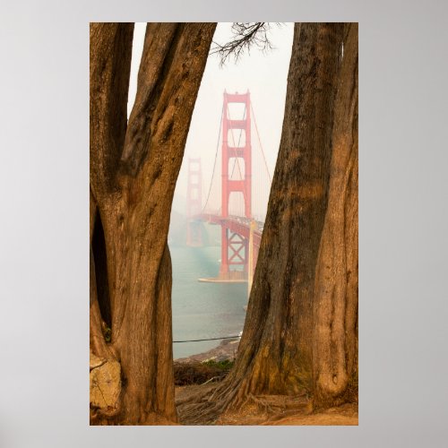The Golden Gate Bridge  Trees from Overlook View Poster