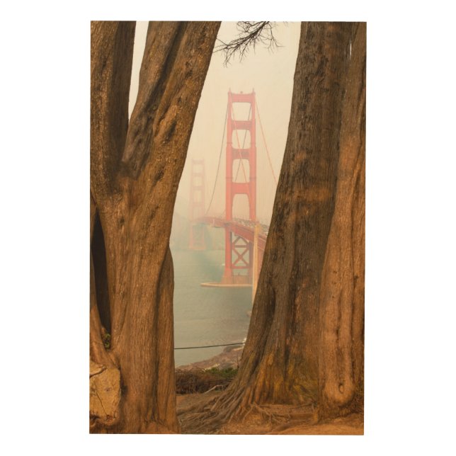 The Golden Gate Bridge | Trees from Overlook View Wood Wall Art (Front)