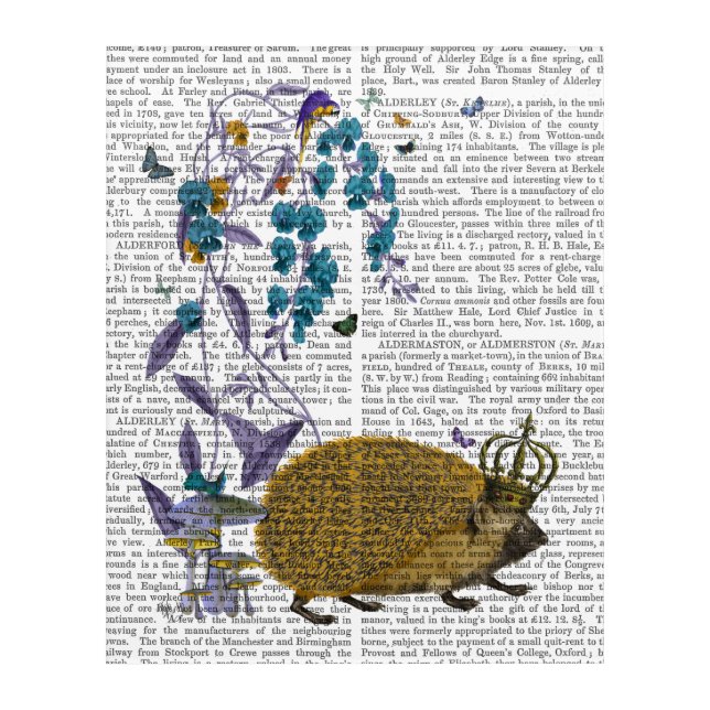 The Golden Hedgehog Acrylic Print (Front)