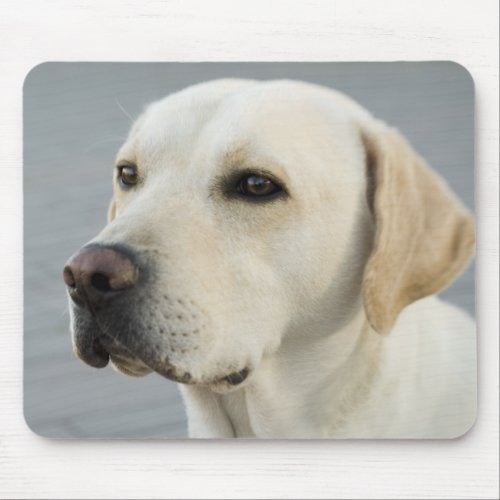 The Golden Labrador Mouse Pad