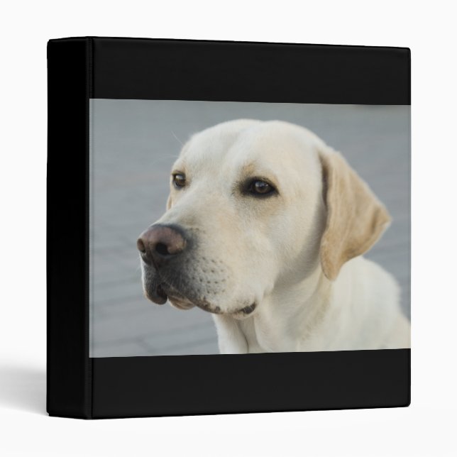 The Golden Labrador Retriever Binder (Front/Spine)