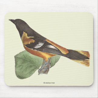 The Golden or Baltimore Oriole (Icterus galbula) Mouse Pad